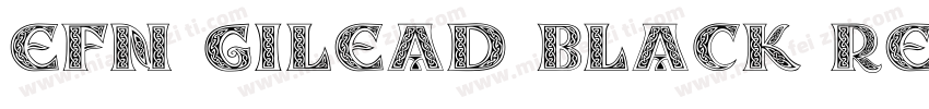 EFN Gilead Black Reg字体转换